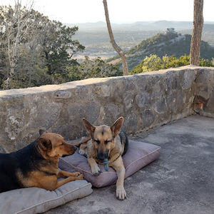 Meet your Posher, Iris